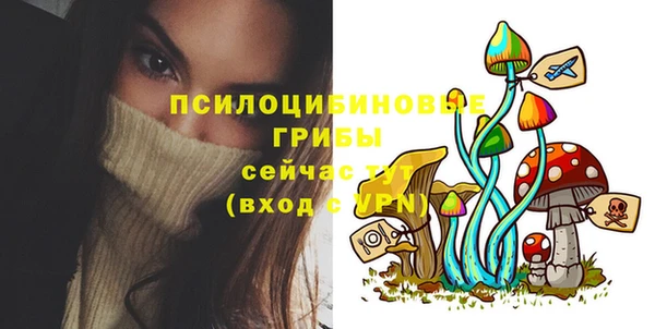 mix Алексин