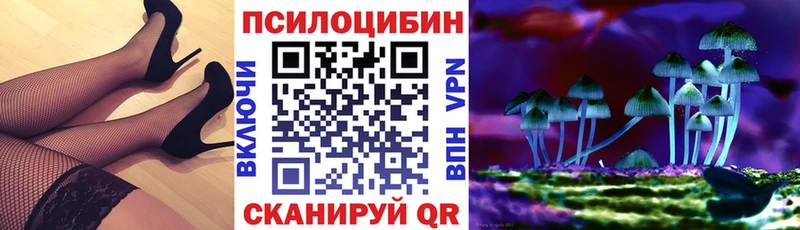 купить наркоту  Ликино-Дулёво  Галлюциногенные грибы Psilocybine cubensis 